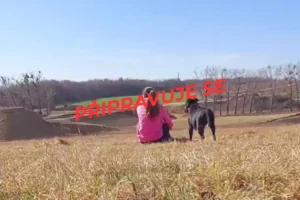 Proč jsem se rozhodla pro Vanlife