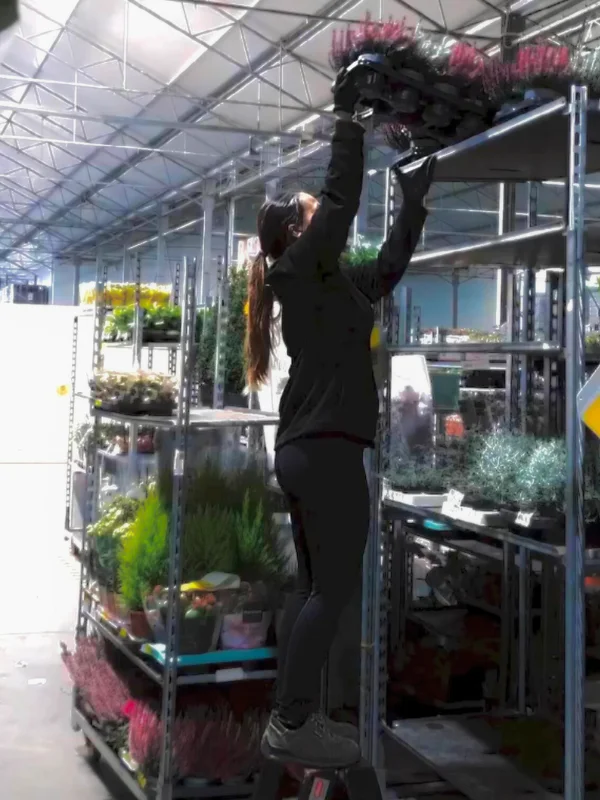 Práce ve skladu s květinami v Holandsku – místo, kde Niky zjistila, co doopravdy chce